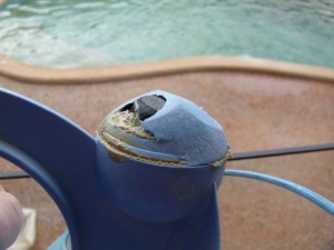 Zodiac Barracuda Pacer worn down weight Zodiac Barracuda Pacer worn down weight